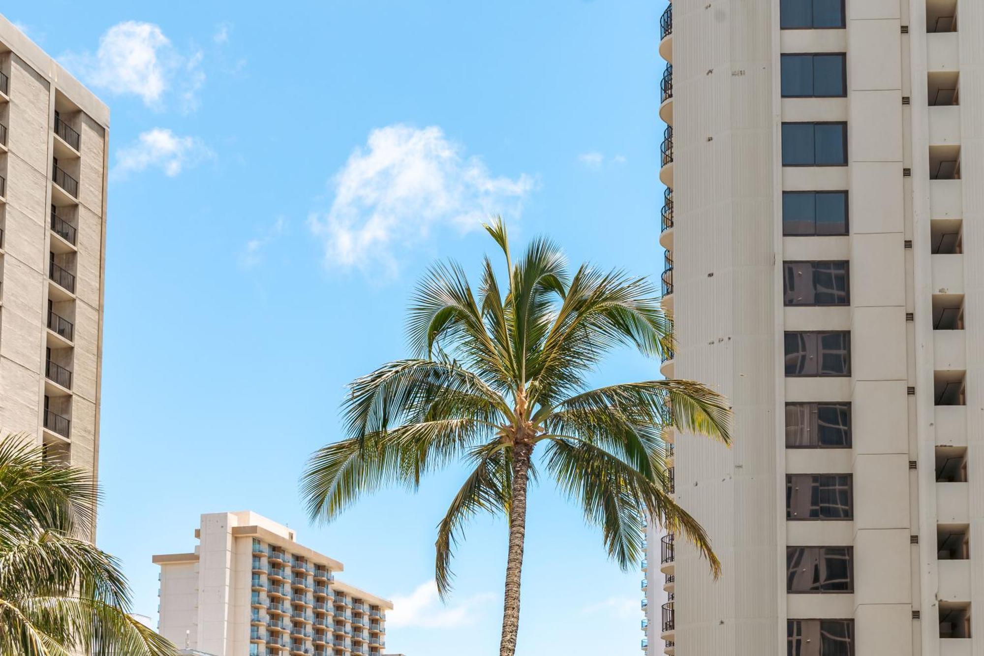 Cozy Waikiki Getaway, Stroll To Beach With Free Parking Гонолулу Экстерьер фото
